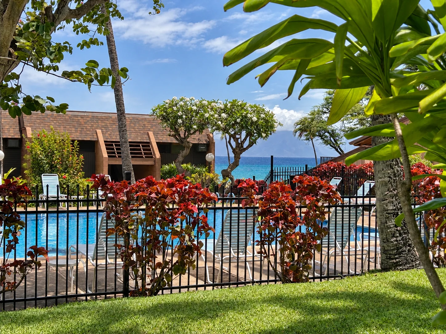 Pool with ocean beyond